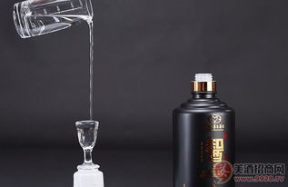 臺源智酒原一火熱招商中