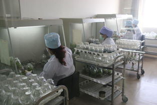 駐馬店地區(qū)考察團對西夏王葡萄酒產(chǎn)品質(zhì)量和市場營銷給予了高度評價